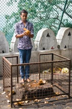 Devotee praying before breaking a coconut in the Golden cave temple Stock Photos