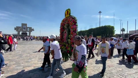Devotees carry an image of Virgin of Guadalupe with flowers, Mexico City 4K Stock Footage 295006136