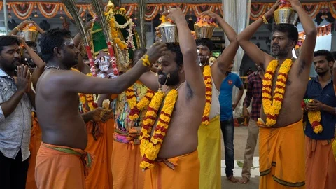 Devotees with milk pot offerings at Hindu Thaipusam festival Stock Footage 103827123