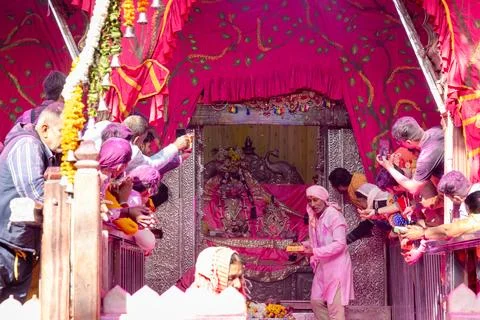 Devotees Offering Prayers Before Radha Krishna Deities During Vrindavan Tem.. 写真素材