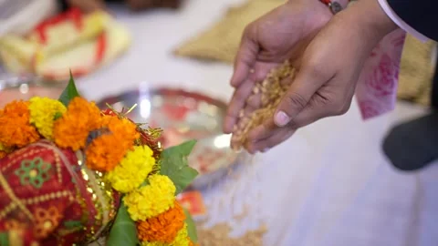 Devotees Offering Wheat Grains to God During Hindu Prayer Ritual Stock Footage 329384489