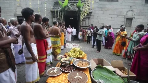 Devotees prepare traditional rice dish for Thai Pongal Hindu festival in Colombo Stock Footage 297743212