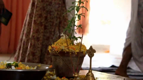 Devotees of Radha, Krishna walk around the sacred plant tulasi plant, Stock Footage 37564114