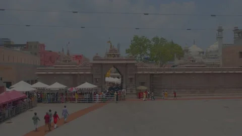 Devotees stand on queue / line for enter kashi vishwanath temple gate at new 動画素材 220906125
