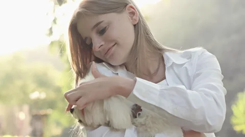 Devotion and joy: The Maltese lapdog and her mistress spend the day together Stock Footage 252132458