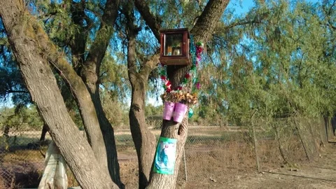 Devotion on a tree in the shape of little catholic things, a warm reminder Stock-Footage 233957307