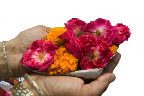 Devotional Offering Stock Photos