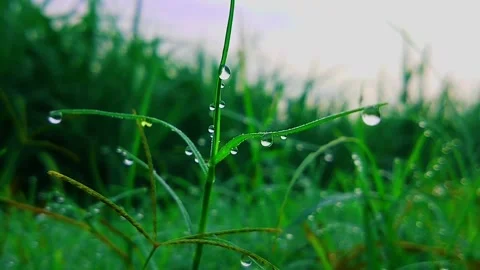 Dew ceiling cinematic video Stock Footage 169417547