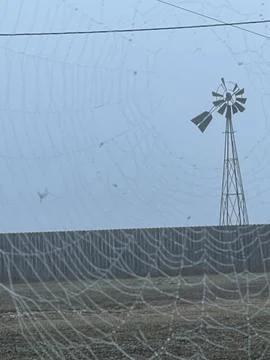 Dew Covered Spider Web and Farm Windmill in Foggy Texas Countryside Stock Photos