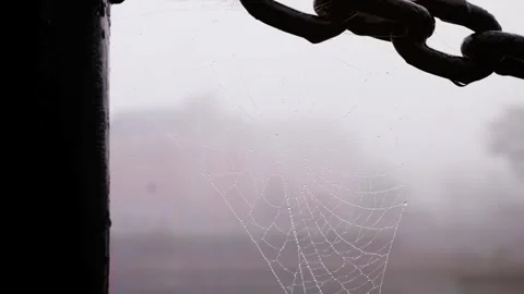 Dew covered spider web on heavy chain in foggy harbor. Video stock 331978564