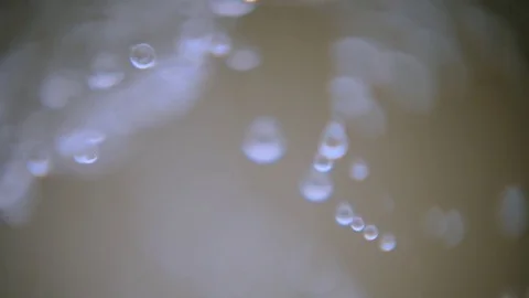 Dew drop on grass. Nature Video stock 83255202