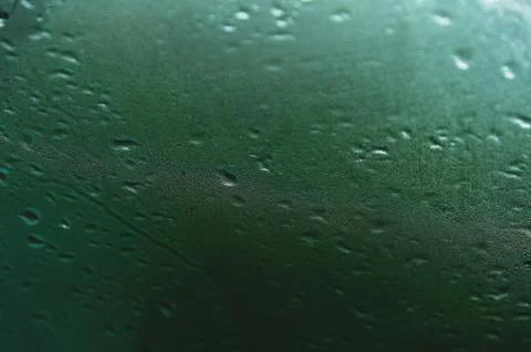 Dew drop on green dark background. Soft focus Stock Photos