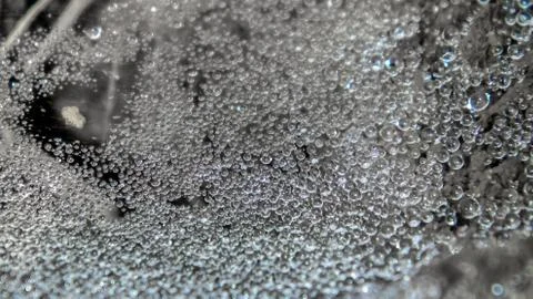 Dew drop on the spider net Stock Photos