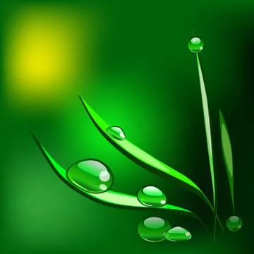 Dew drops on the grass blade. Vector Illustration Stock Illustration