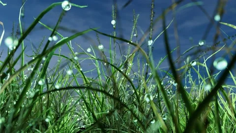 Dew drops on green grass. 3D render Stock Footage 202352473