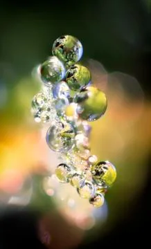 Dew drops on a green leaf close up background Stock Photos