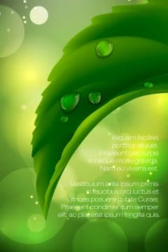 Dew drops on green leaves Stock Illustration