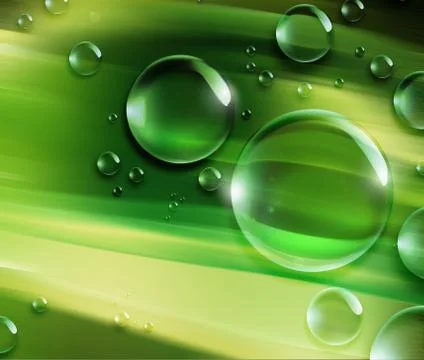 Dew drops Stock Illustration