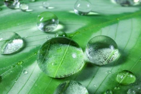 Dew drops on a leaf on a beautiful background close up Stock-Fotos