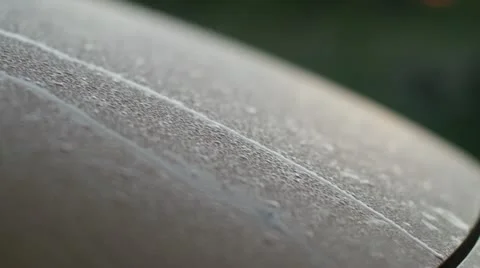 Dew Stock Footage 11194772