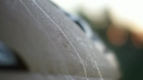 Dew Stock Footage 11195105