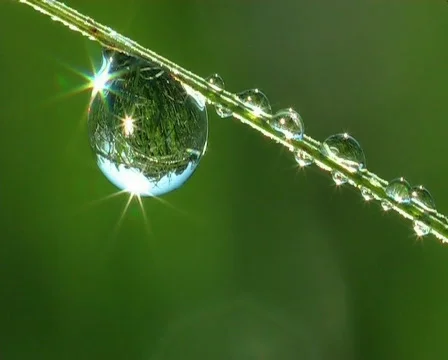 Dew on a grass Vídeos de archivo 669736