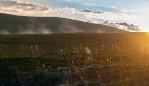 Dew on the grass glows at sunset Stock Photos