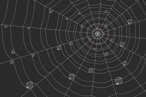 Dew on a grid of concentric cobweb on black background Stock Illustration