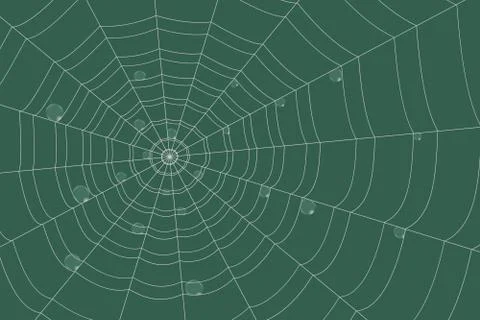 Dew on a grid of concentric cobweb on green background Stock Illustration