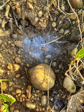 Dew on the ground Stock Photos