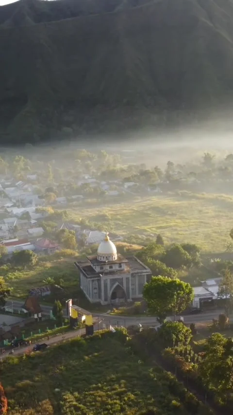 Dew in the morning Video stock 203880718