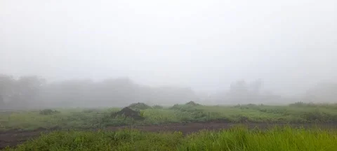 Dew in the morning 動画素材 209749201