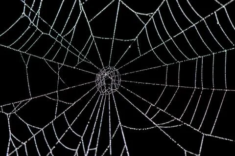 Dew on a Spider Web Stock Photos