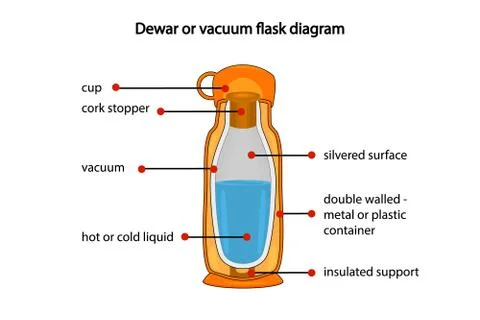 Dewar or vacuum flask fully diagram isolated on white background. Stock Illustration
