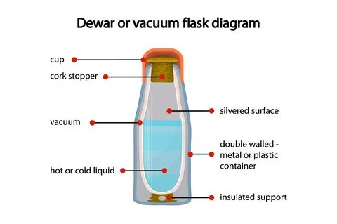 Dewar or vacuum flask fully diagram isolated on white background. Stock Illustration