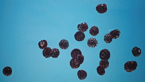 Dewberries fall in clear water Stock Footage 159303959