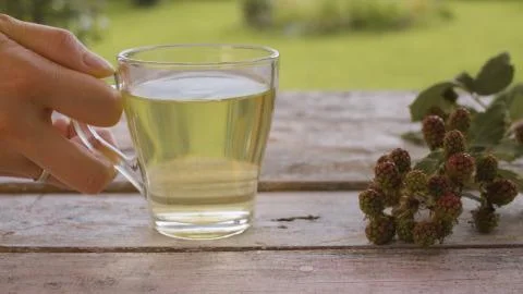 Dewberry leaf drink Stock Photos