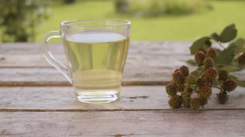 Dewberry leaf tisane Stock Footage 137796511
