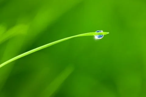 dewdrop with sky reflection on blade of grass / copy space background