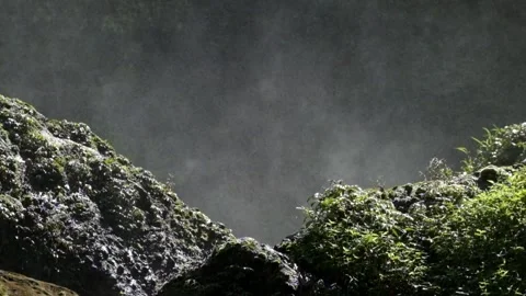 Dewdrops of waterfall in tropical rain forest Stock Footage 319878907