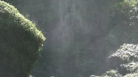 Dewdrops of waterfall in tropical rain forest Stock Footage 319878950