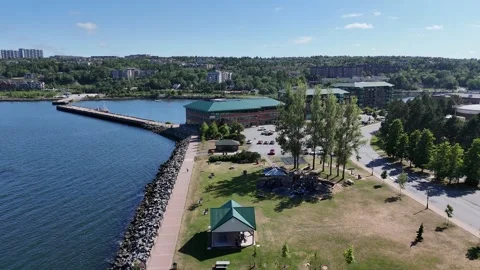 Dewolf Park Stock Footage 342524448