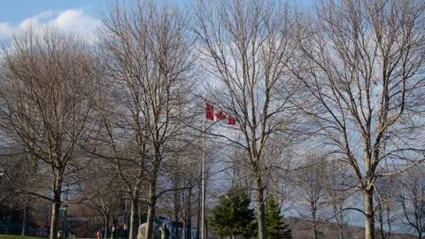 Dewolf Park Stock-Fotos