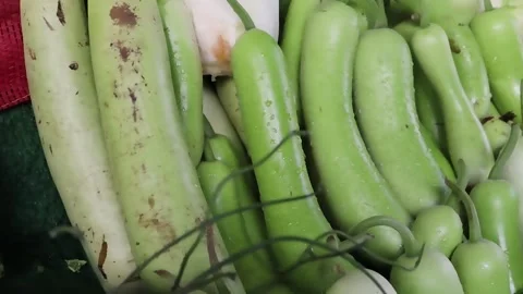 Dewy light green Indian squash in market bunch Stock Footage 338169322