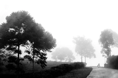 Dewy road 写真素材