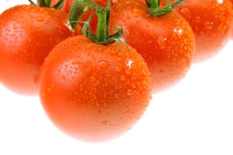 The dewy tomato Stock Photos