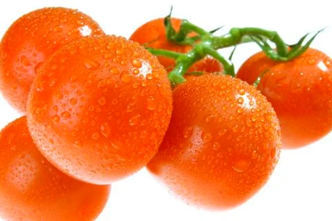 The dewy tomato Stock Photos