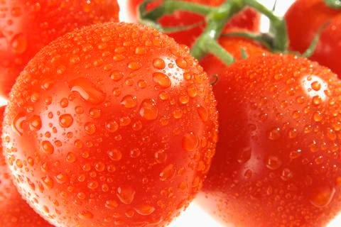 The dewy tomato Stock Photos