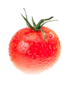 The dewy tomato Stock Photos