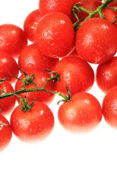 The dewy tomato Stock Photos